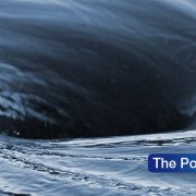 Blue Economy vortex