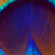 8. Farbe ohne Pigmente