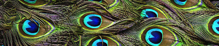 c08_color04