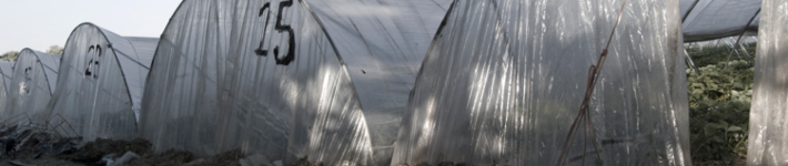 c26_greenhouses01