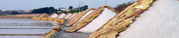 c26_greenhouses03
