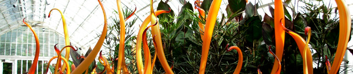 c26_greenhouses04
