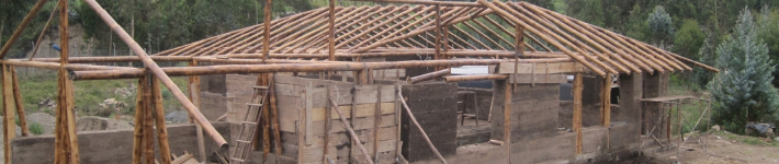 c44_bamboo03