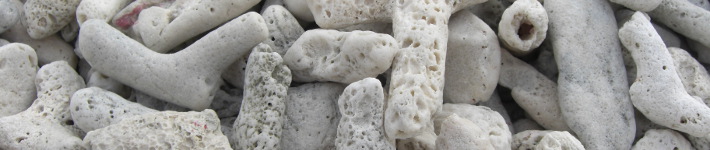 c66_eggshells01