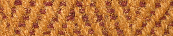 c77_algae02