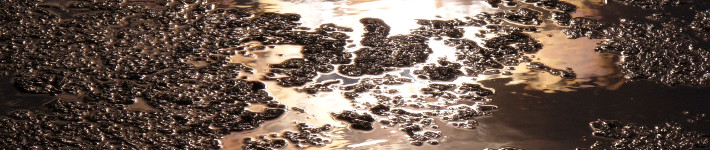 c89_shells03