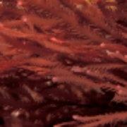 bacterial-control