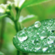 39. Wasser aus der Luft