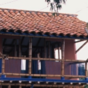 building-bamboo