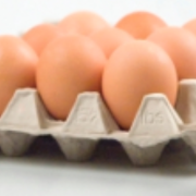 chicken-eggs