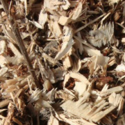 cellulose