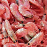 crab-shells-mine-water