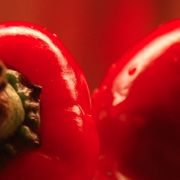 chili-agriculture