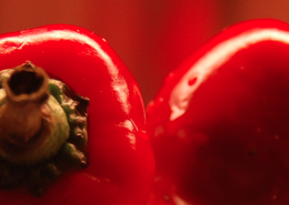 chili-agriculture