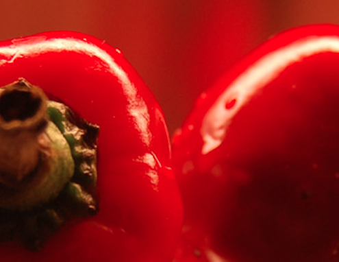chili-agriculture