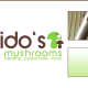 Chido's Mushrooms - local and nutritious food grown on remains of coffee production