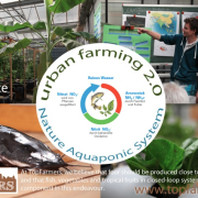 Blue Economy project, TopFarmers, got into the finale of Generation-D competition