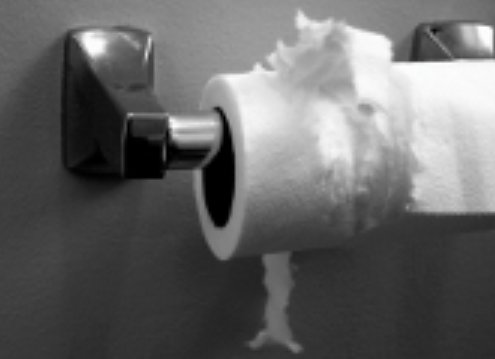 separation-toilet