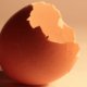 eggs-personal-care