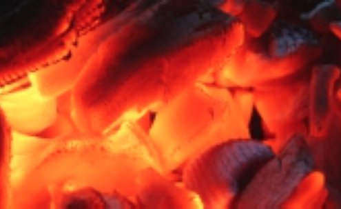fire-citrus