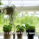 Social Living - Clean Tech Sundsvall