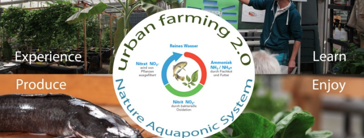 Blue Economy project, TopFarmers, got into the finale of Generation-D competition