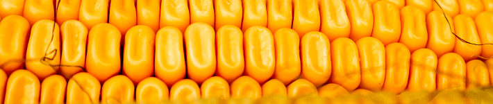 c20_bioplastics01