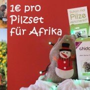 orig_blog_28983_0