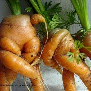 orig_blog_28987_0