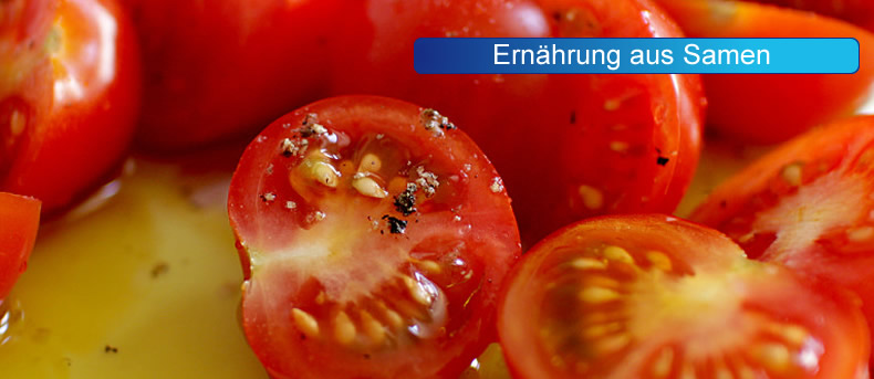 ErnährungausSamen