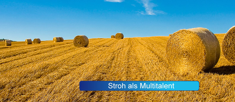 StrohalsMultitalent