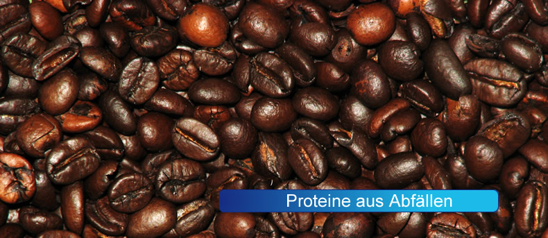 ProteineausAbfaellen